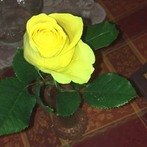 Meet your Posher, Connor